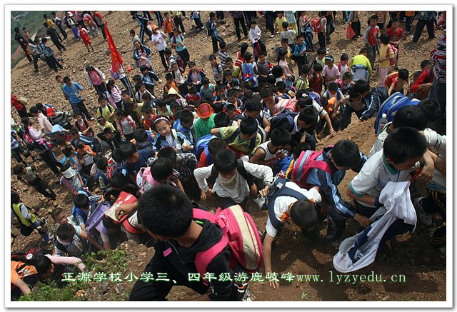 williamhill威廉希尔亚洲官网三、四年级小学生游鹿岐峰