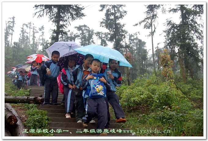 williamhill威廉希尔亚洲官网一、二年级小学生游鹿岐峰