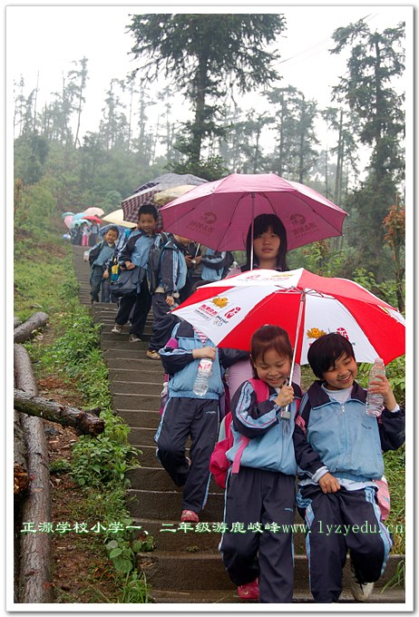 williamhill威廉希尔亚洲官网一、二年级小学生游鹿岐峰